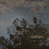 dailyPhoto31